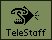 View screens and instructions for the TeleStaff application.